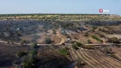 KKTC'de üç farklı bölgede yangın devam ediyor