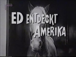 Mr. Ed - 081. Ed entdeckt Amerika