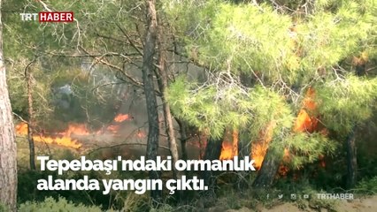 KKTC’deki yangına Türkiye'den yardım