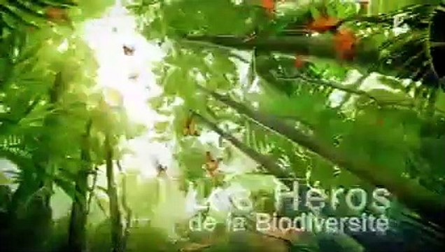 France 2 : C.N, 4 B.A, Jingle, Les héros de la biodiversité : 01-08-2010
