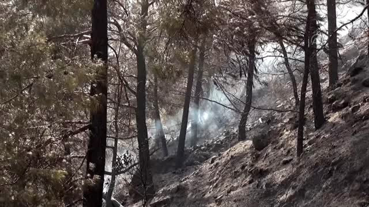 Silifke'deki orman yangını kontrol altına alındı