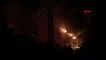 Rize'de orman yangınını söndürme çalışmaları sürüyor