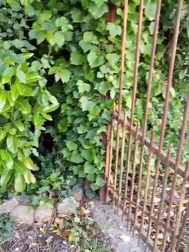 L'amour du club cela se cultive