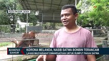 Kondisi Satwa di Kebun Binatang Taman Rusa Aceh masih Terawat dan Pakan Terpenuhi