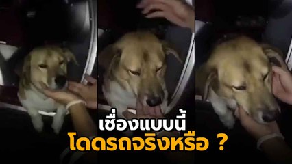 ย้อนคลิปพี่เตี้ย มช. ไม่ยอมลงจากรถ จุดคำถามแบบนี้เหรอจะโดดลงมาตาย ?