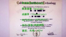 【专业定制】 制作美国（UC Davis毕业证书）Q /WeChat: 2072299317定制美国加州大学戴维斯分校文凭证书 学历认证 毕业证/成绩单/留信、使馆、留服学历认证 网上永久可查University of California Davis diploma degree