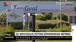 Coronavirus - Inquiétude dans le Loiret pour 400 salariés d'un abattoir où un 