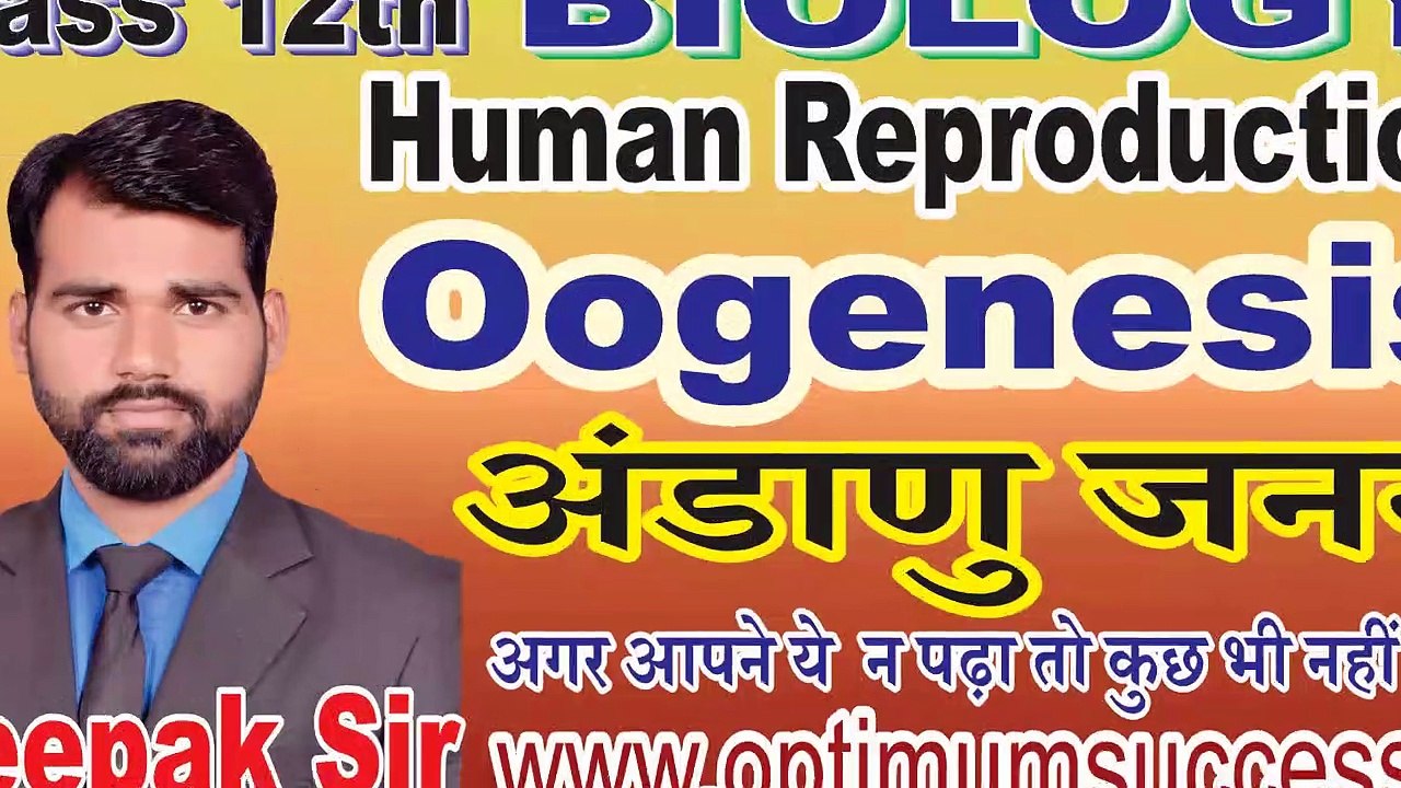 Oogenesis in Female Reproductive System