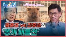 홍준표 vs 진중권, 아닌 밤중의 '똥개 배틀' 누가 포문을 열었나? [뉴스터]