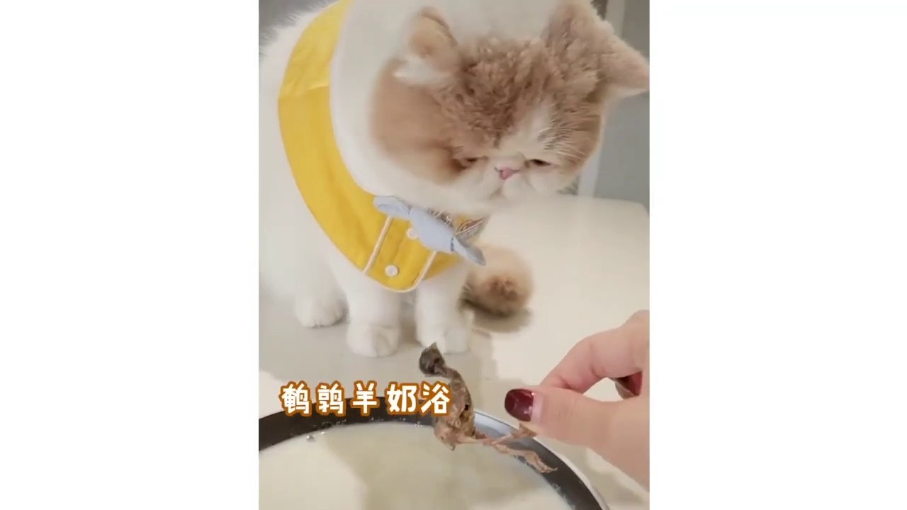 Oddly Satisfying Video - oddly satisfying video for your relaxation, calm and sleep