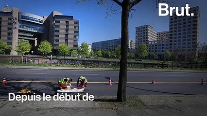 Avec le Covid-19, le monde entier repense la mobilité en ville