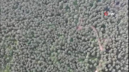 Yasağı hiçe sayan 2 piknikçi, drone ile tespit edildi