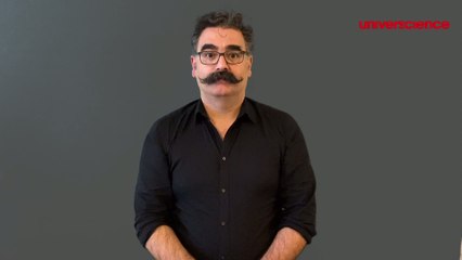 Directeur / Directrice - LSF