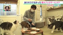 コロナで大打撃の保護猫カフェ 大奮闘　2020.4.30