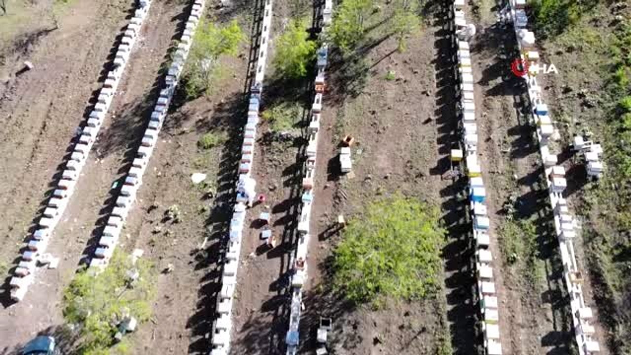 Geçen sene 75 liradan satılan balın kilosu bu sene 100 lira