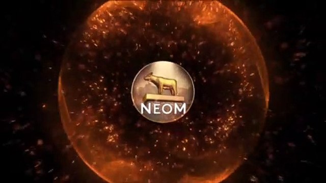 Note de l’ambassade de France en Arabie Saoudite sur le projet Neom