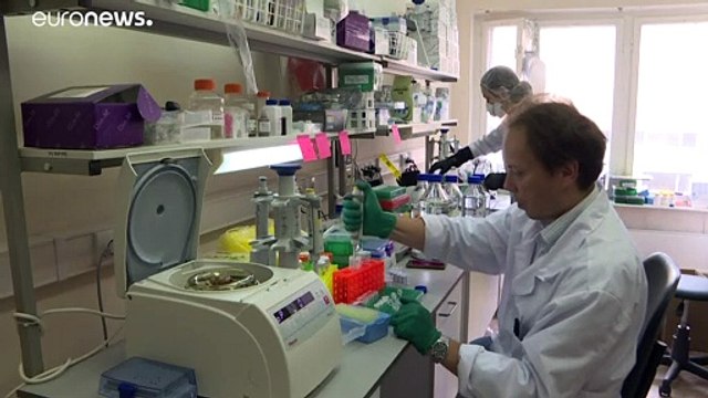 Россия: суточное число заражений падает