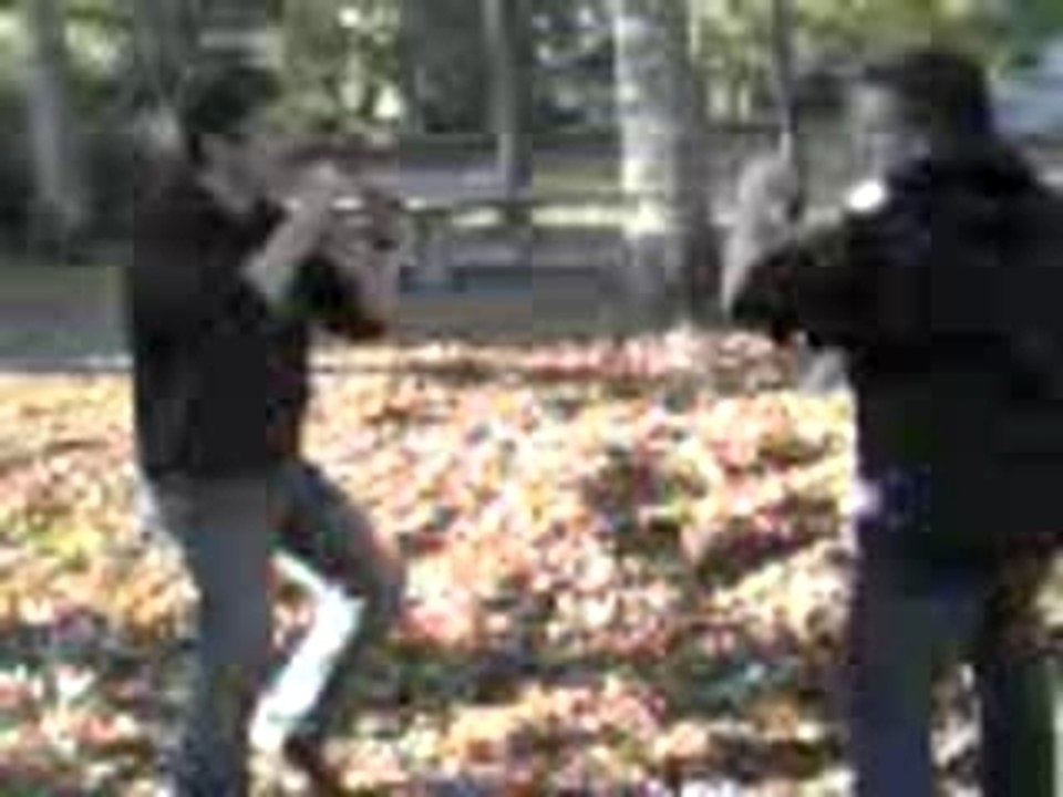 Vidéo 0036