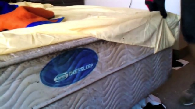 10 Worst Bug Infested Houses | CollBold