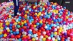 Dad Turns House Into Giant Ball Pit With 250,000 Balls Without Telling His Wife
