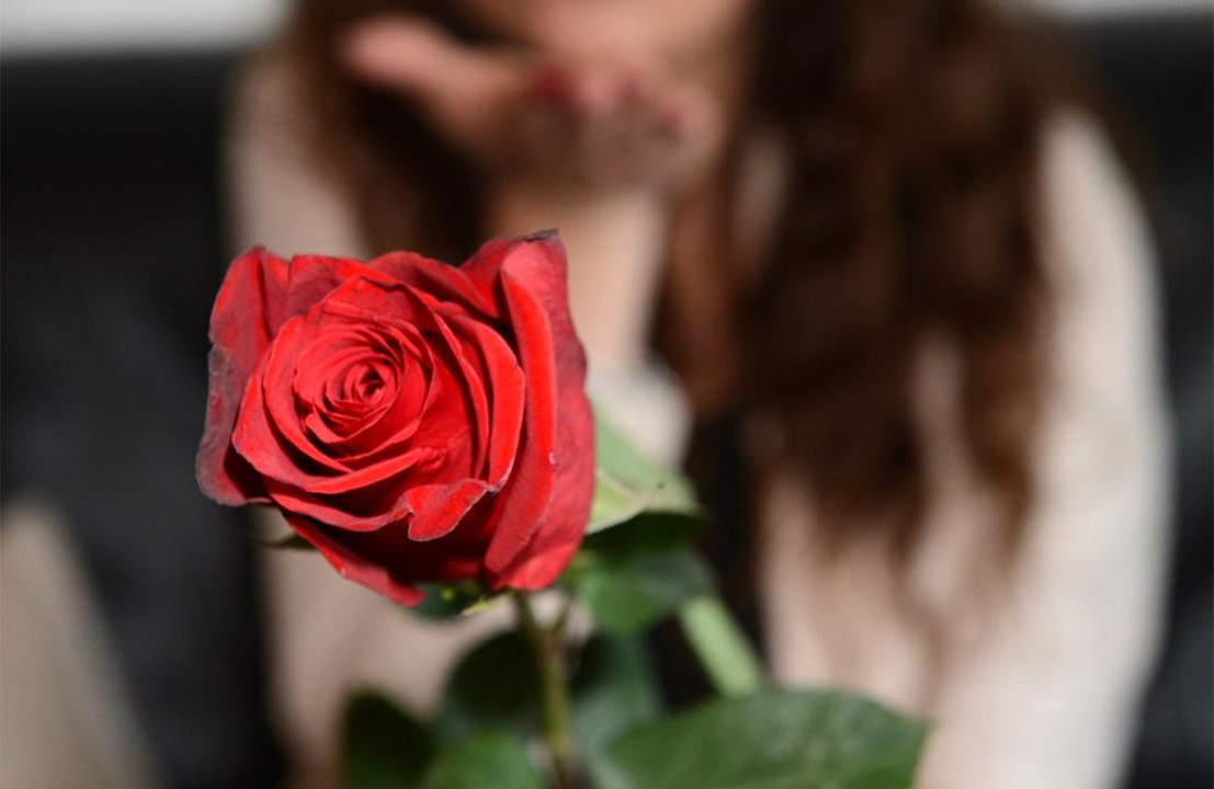 Gerda Lewis: Neue Brüste für die 'Bachelorette'