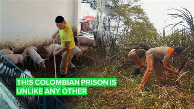 The Colombian prison that lets inmates get a taste of freedom and nature