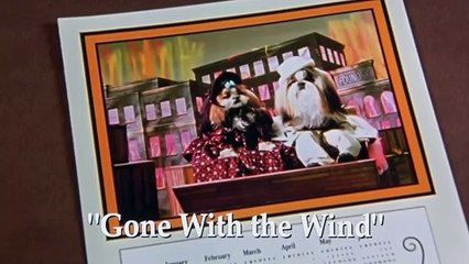 Best in Show Official Trailer - Fred Willard And Catherine O'Hara Movie