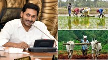 YSR Rythu Bharosa : Good News For AP Farmer,Govt Supplying Seeds From Today Onwards!