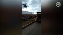 Prefeitura divulga vídeo que flagra furto de grama em rotatória na Serra