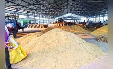 नीमच मंडी भाव आज के