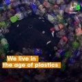 Microplastics Are Everywhere