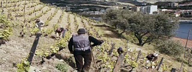 El extraño caso de Angélica - Tráiler español