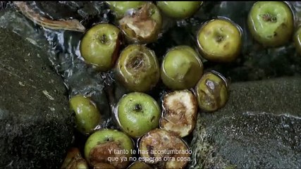 Bi anai (Dos hermanos) - Tráiler