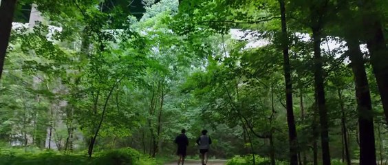 La señal (The Signal) - Tráiler español