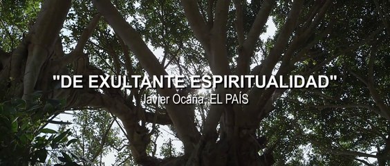Aguas tranquilas (Still the Water) - Tráiler español