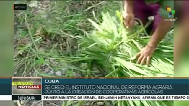 teleSUR Noticias: Fuerzas afganas y talibanes firman acuerdo