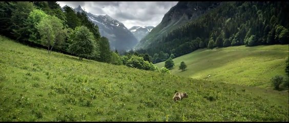 Las estaciones - Tráiler español (v.o.s.)