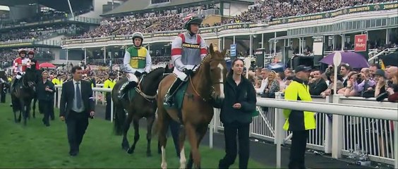 Caballo ganador (Dark Horse) - Tráiler español