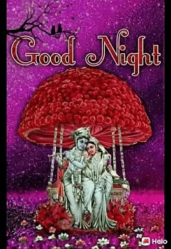 Good night |good night everyone