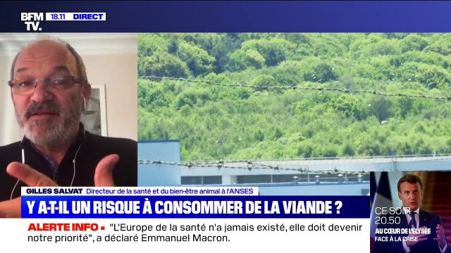 Cas de coronavirus dans des abattoirs: selon l'Anses, ce n'est pas par voie alimentaire qu'on est contaminés