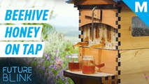 This beekeeping hive harvests the honey for you — Future Blink