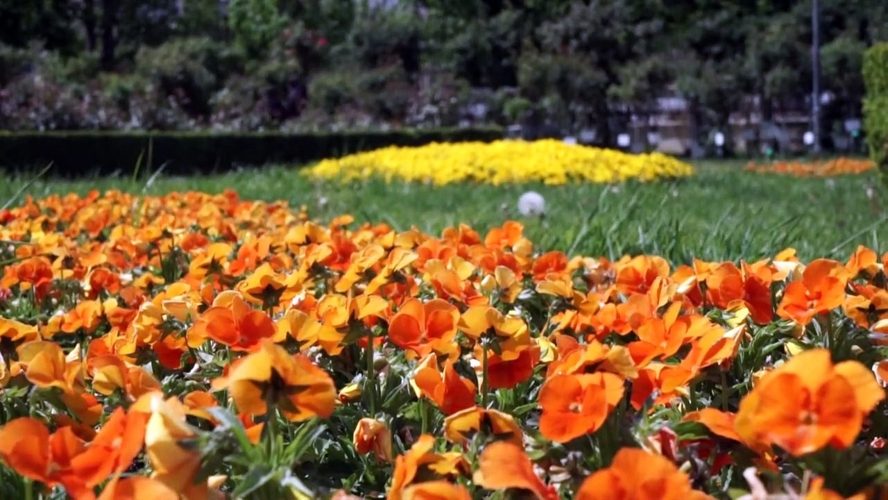 Im Sommer in den Süden?
