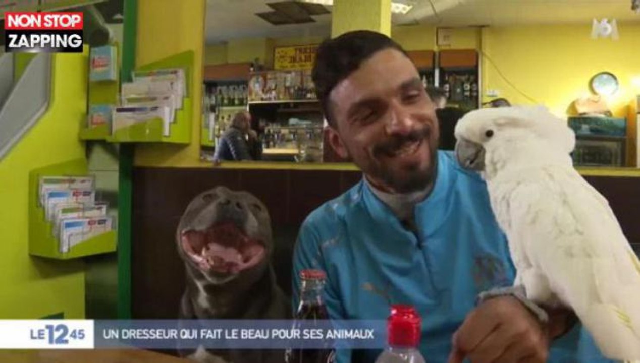 Oiseau Tyson annonce qu'il est papa !
