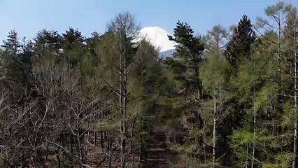 Mount Fuji to be closed in the summer due to pandemic