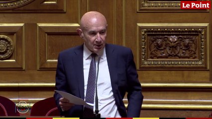 Claude Malhuret dénonce « les faux experts qui lancent des cracks »