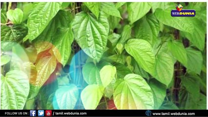 வெற்றிலையின் மருத்துவ பயன்கள்..!