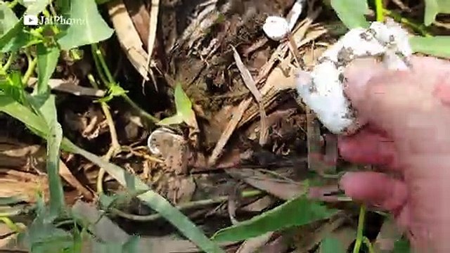 Restoration an abandoned old AirPods - Apple Fake AirPods Wireless Earphones.