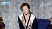 Harry Styles Drops Visual for 'Watermelon Sugar' | Billboard News