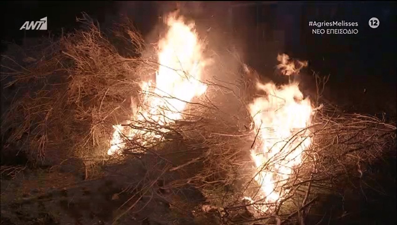 Άγριες Μέλισσες: Καρέ καρέ η σκηνή που μας «έκο...