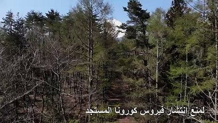 المسارات المؤدية إلى جبل فوجي الياباني مغلقة أمام المتسلقين